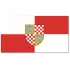 Brzeski (woj. opolskie) Powiat Flaga