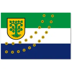 Borne Sulinowo Flaga miasta