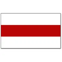 Wyszków Flaga Miasta