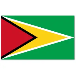 Gujana Flaga 90 x 150 cm
