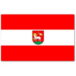 Wieluński Powiat Flaga